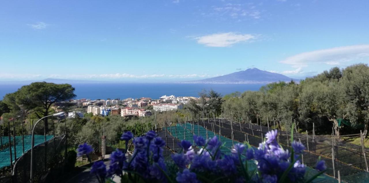 Apartmán Sorrento Dolce Casa Exteriér fotografie
